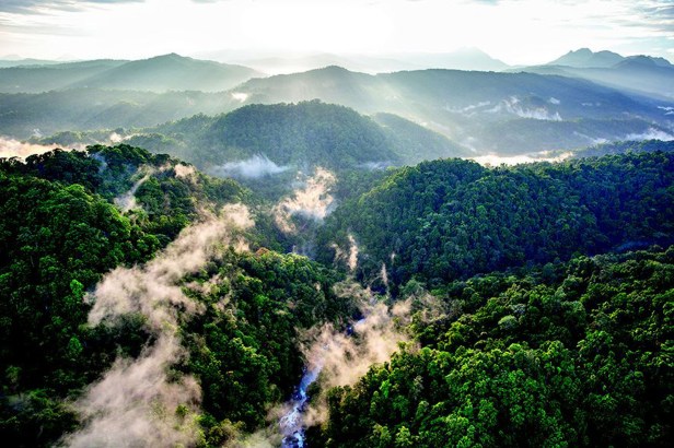 Huw Cordey / Netflix/Silverback