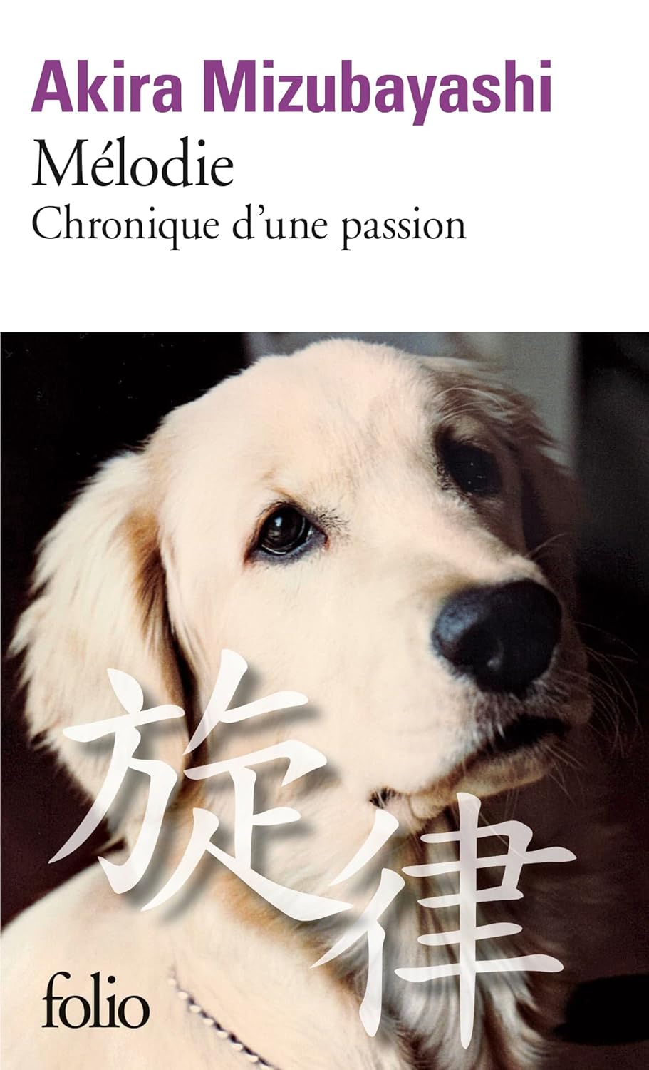 Littérature : « Mélodie, chronique d’une passion » Akira Mizubayashi (Folio)